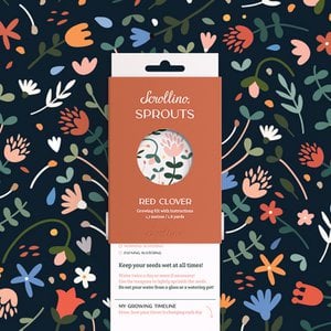 Activity & Growing Kit - Scrollino Red Clover Sprouts