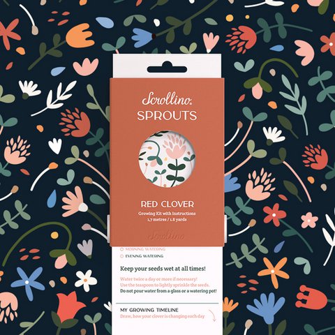 Activity & Growing Kit - Scrollino Red Clover Sprouts