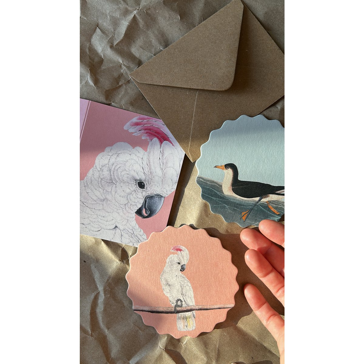 Posavasos/Posavasos 10 motivos pájaros - 12 juegos