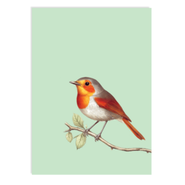 Postkarte Robin