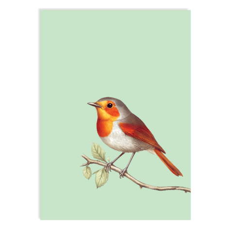 Postkarte Robin
