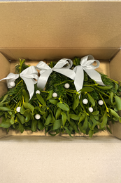 Caja Navideña Muérdago – Blanco (8 paquetes de 3 paquetes)