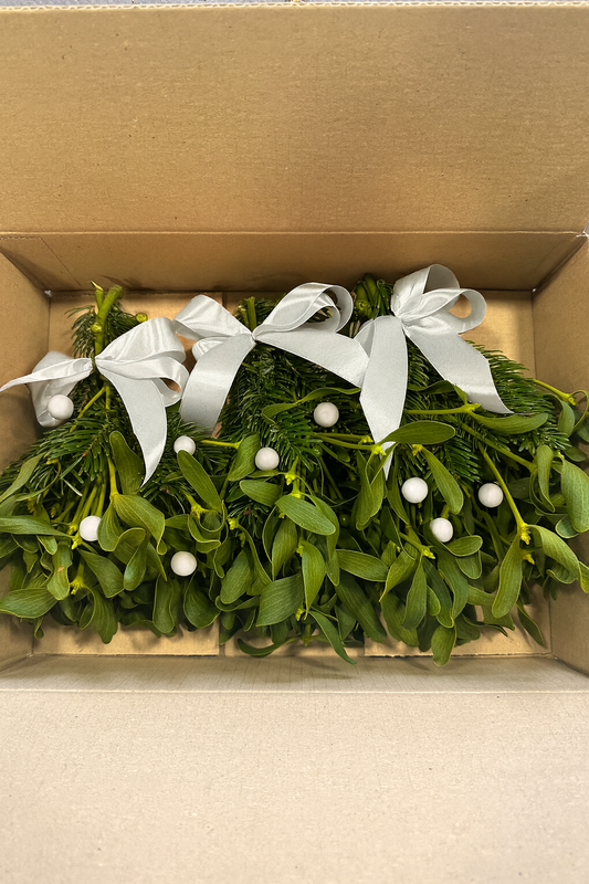 Caja Navideña Muérdago – Blanco (8 paquetes de 3 paquetes)