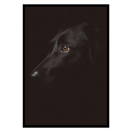 A black and white poster featuring a close-up portrait of a dog's face against a dark background. The poster is available in various sizes, including A4, B2, B1, A3, A2, A1, and A0.