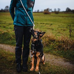 Just Cotton adjustable dog leash | Rope line Ecru