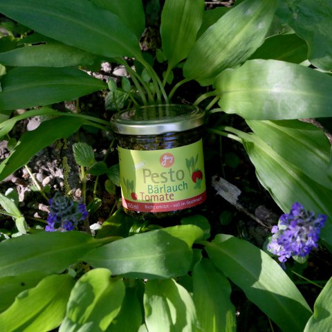 Økologisk vild hvidløg tomat pesto 140g