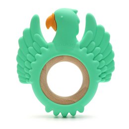 Parrot Wood & Silicone Teether | MINT