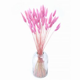 Konijnenstaarten (Lagurus) 50g Donkerroze