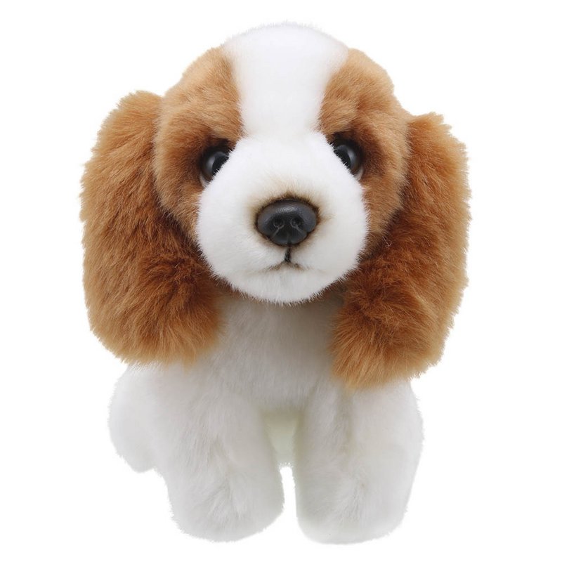 Minis – King Charles Spaniel