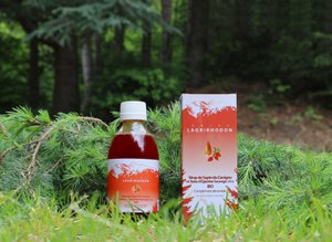 Lagrirhodon - Biologische dennensiroop & wilde rozenbottelbessen