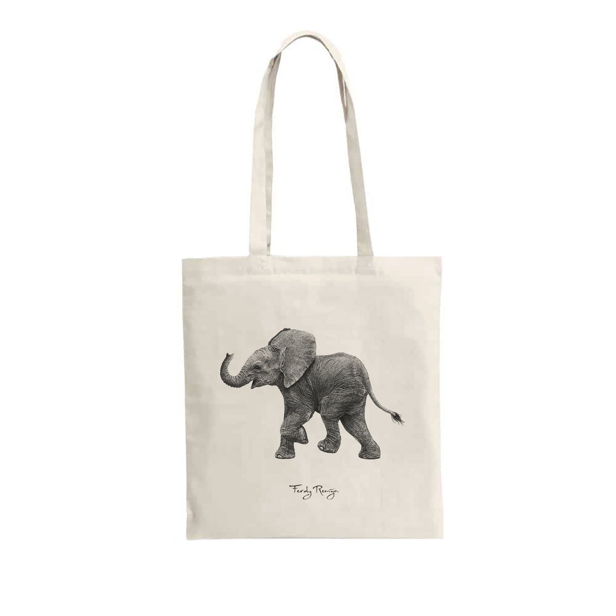 Bébé éléphant d'Afrique