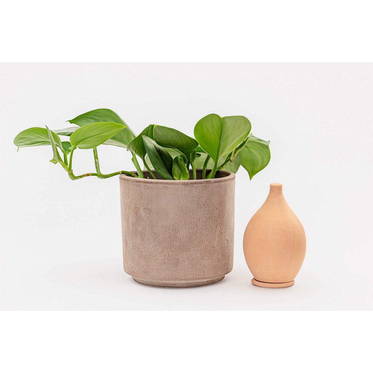 Olla self watering pot - Lutoya Small Original - 20 cl