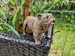 Figurine Bouledogue Anglais