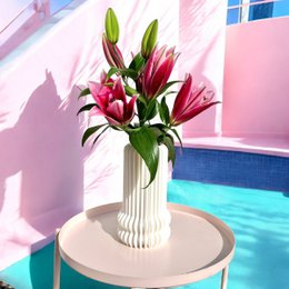 Whimsy 150% * White