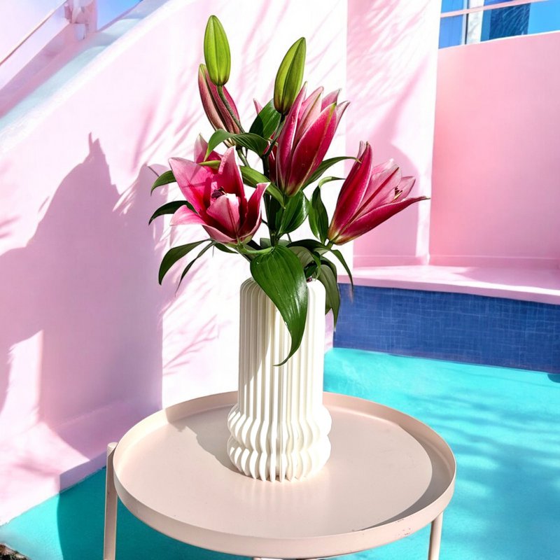 Whimsy 150% * White