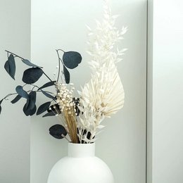 Glixia in diversity: Colorful dried flowers for creative decoration