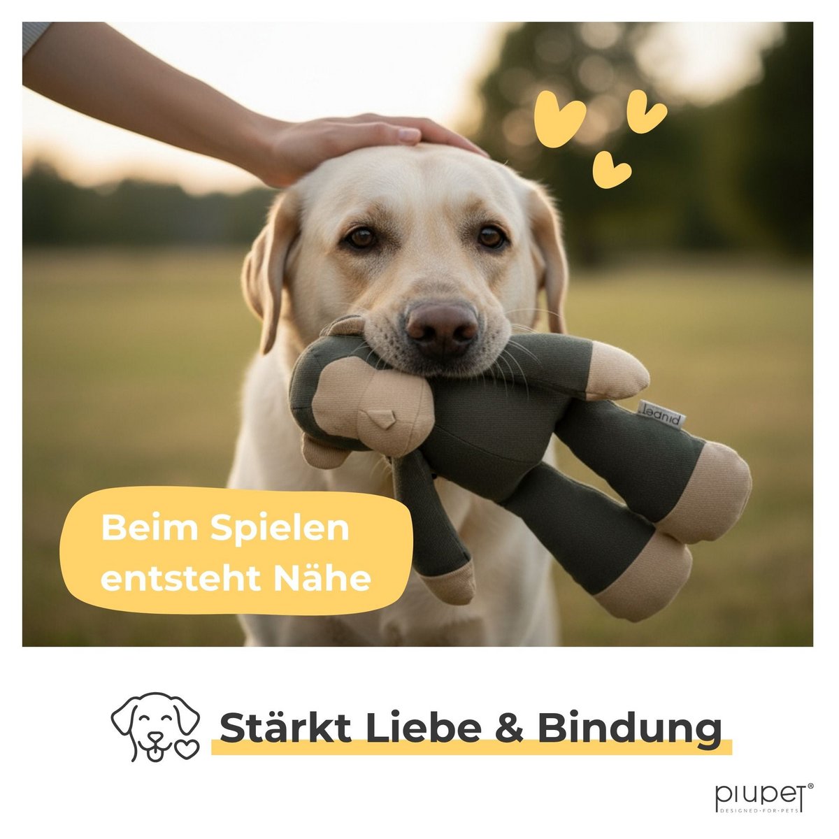 Gioco per cani "KIBA"