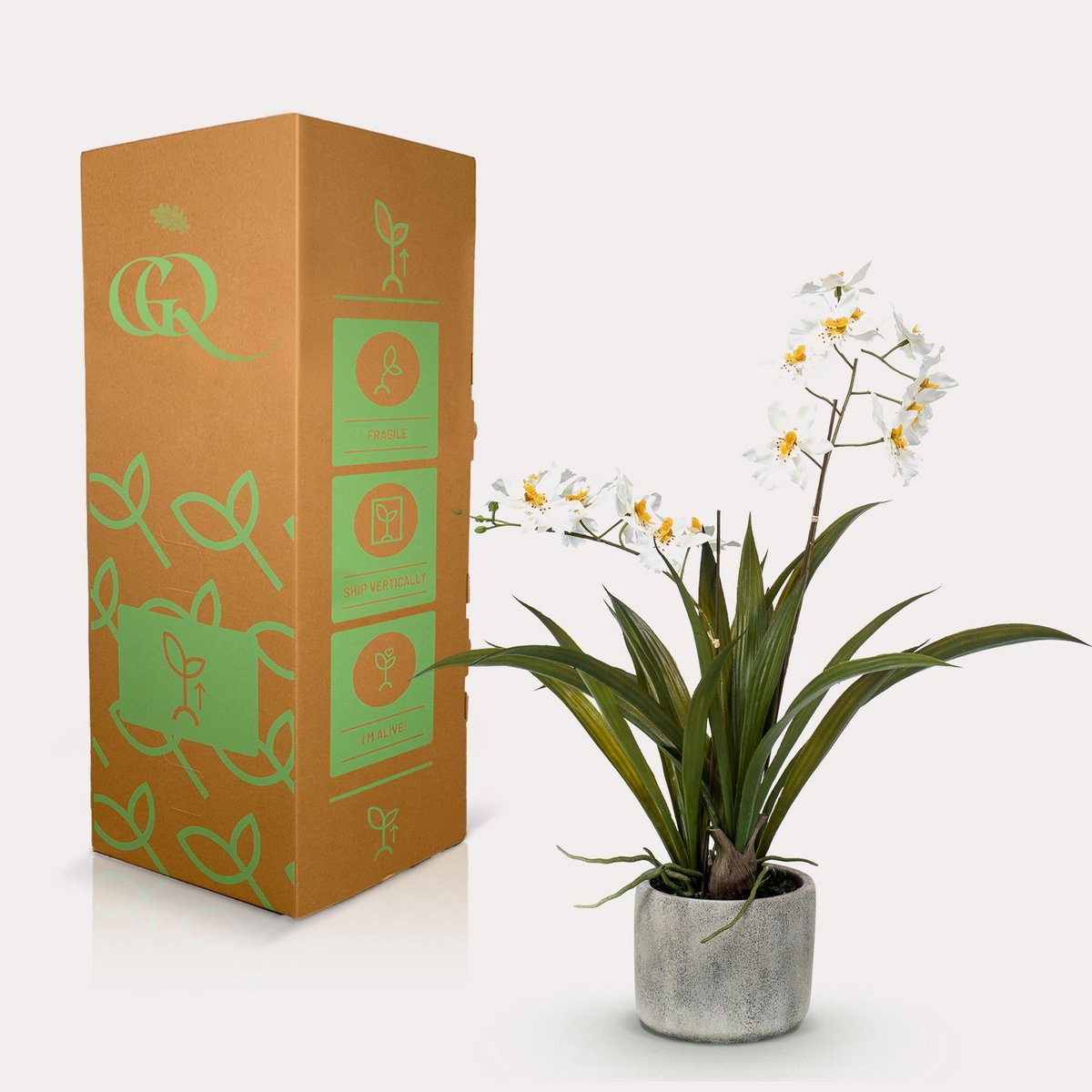 Sztuczna roślina - Orchidea - Biała - 45cm