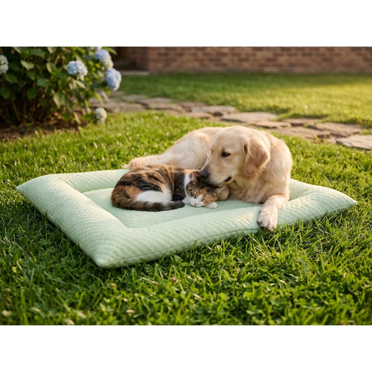 Yommy Cooling Mat for Pets: Breathable Ice Silk Blanket, Soft and Non-Slip. Available in 3 Colors (Green, Grey, Blue) and Sizes M/L/XL. Ideal for Dogs and Cats, Washable, and the Best Choice for Summer. Copy