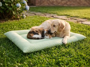 Yommy koelmat voor huisdieren: ademende ijszijdedeken, zacht en antislip. Verkrijgbaar in 3 kleuren (groen, grijs, blauw) en maten M/L/XL. Ideaal voor honden en katten, wasbaar en de beste keuze voor de zomer. Kopiëren