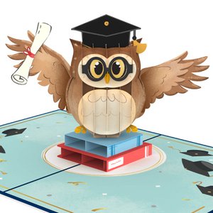Owl with mortarboard pop-up card