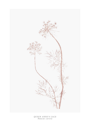 a year in bloom. Set of 12 handprinted floral postcards.