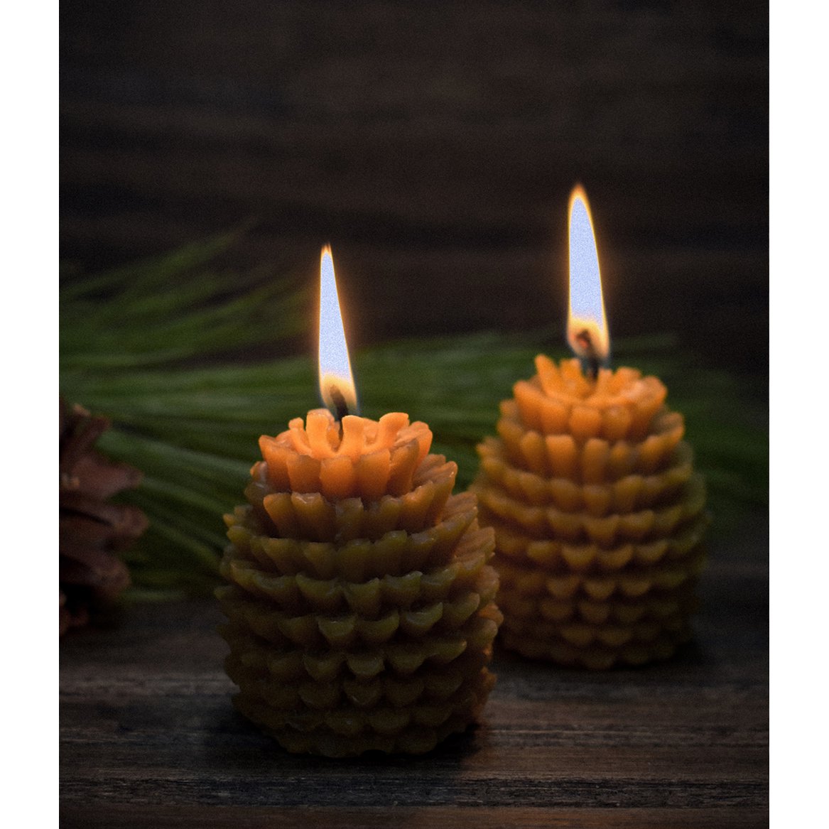 Velas del bosque de cera de abejas