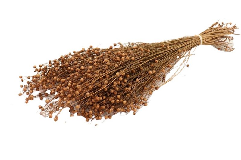 Flachs, 100g, 50cm, apricot