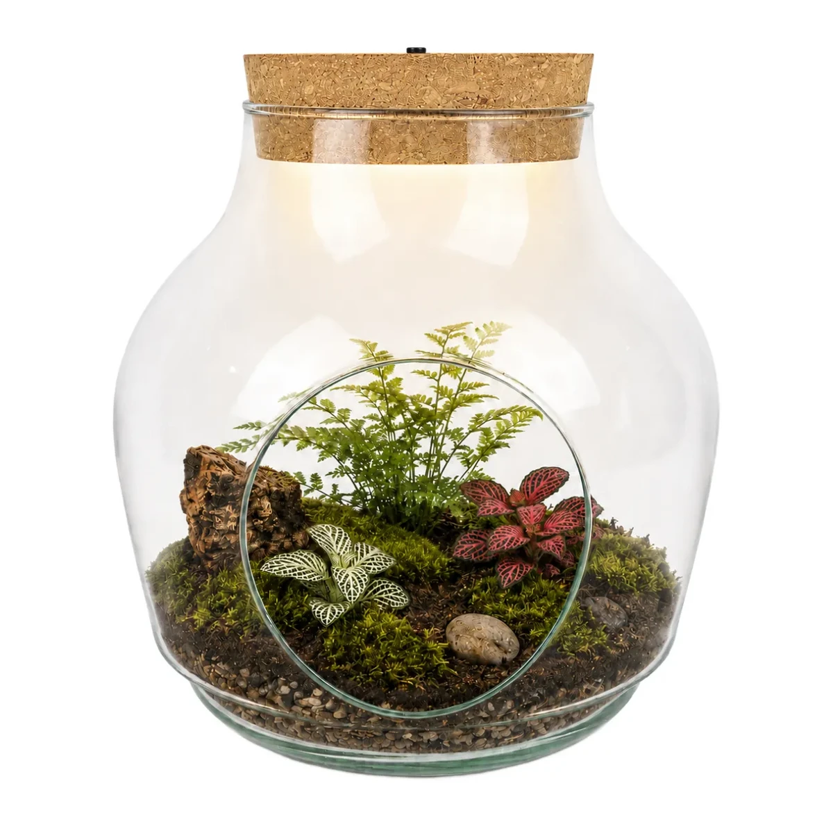 Glass Terrarium with Side Opening and LED Cork W-456A1 19 cm