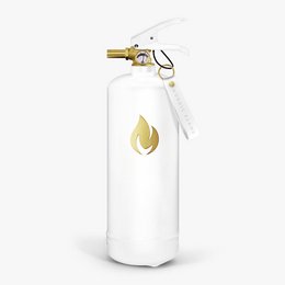 Brandblussers 2 kg - Wit Goud