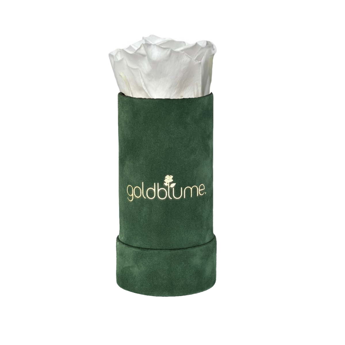 Velvet Green Collection
