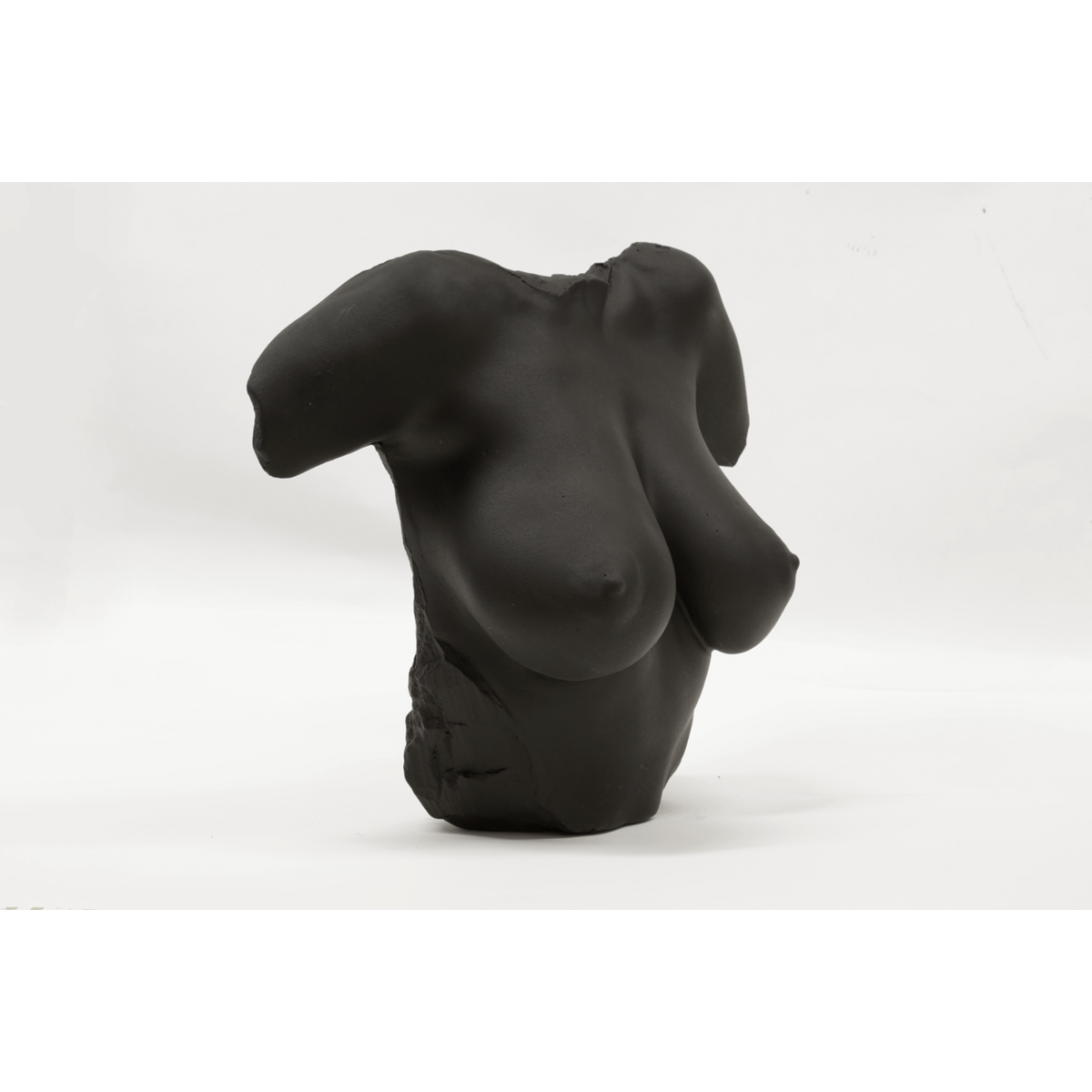 Black Venus af Berlin