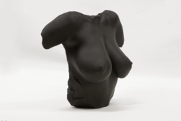 Black Venus af Berlin
