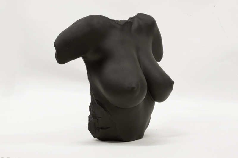Black Venus af Berlin