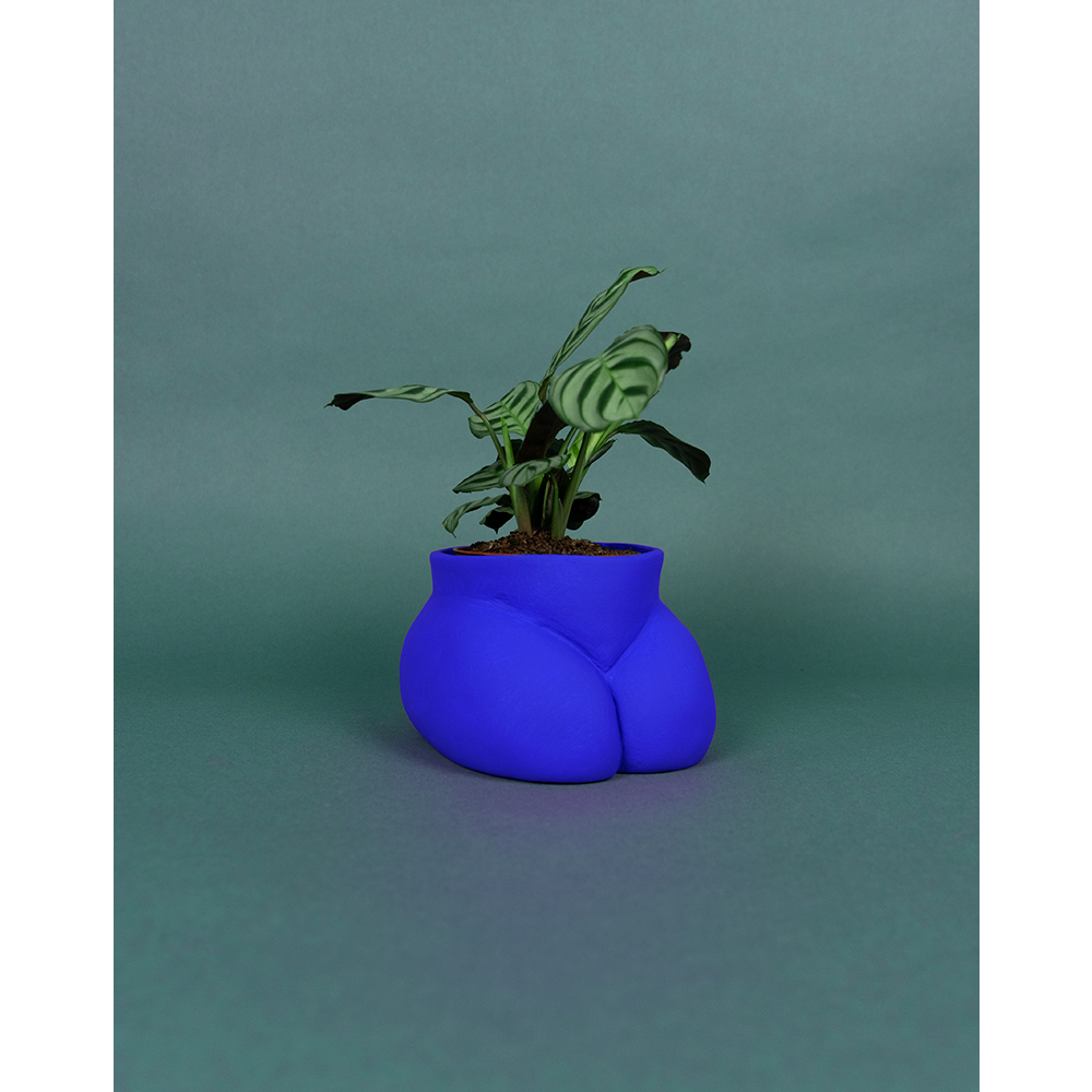 CACHE POT - SMALL BUTTLE