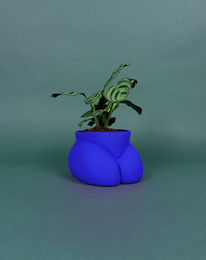 CACHE POT - PETIT FESSIER