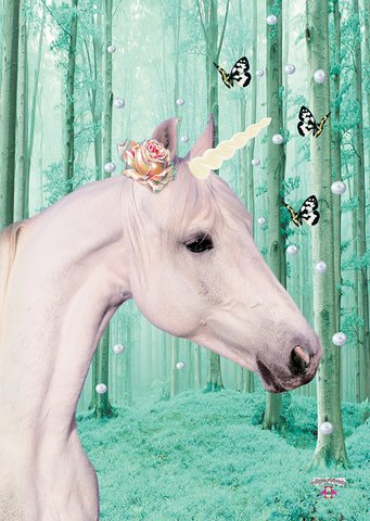 Card Unicorn (Unicorn) 10 pcs.