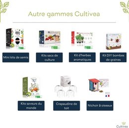 CULTIVEA® Organic* Aromatische kruidenset voor binnen – Dille, salie en citroenbasilicum om te kweken – Mini moestuin voor binnen met glazen potten – Kit voor aromatische planten – Cadeau-idee