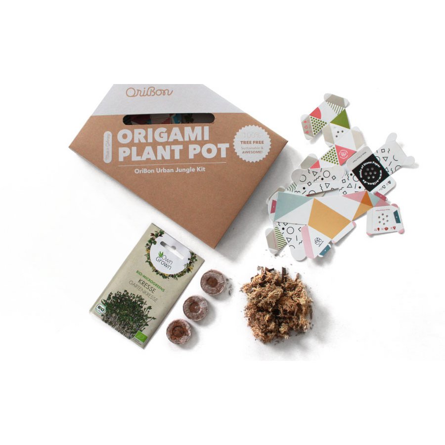 Kit Urban Jungle - Collezione moderna con Microgreens