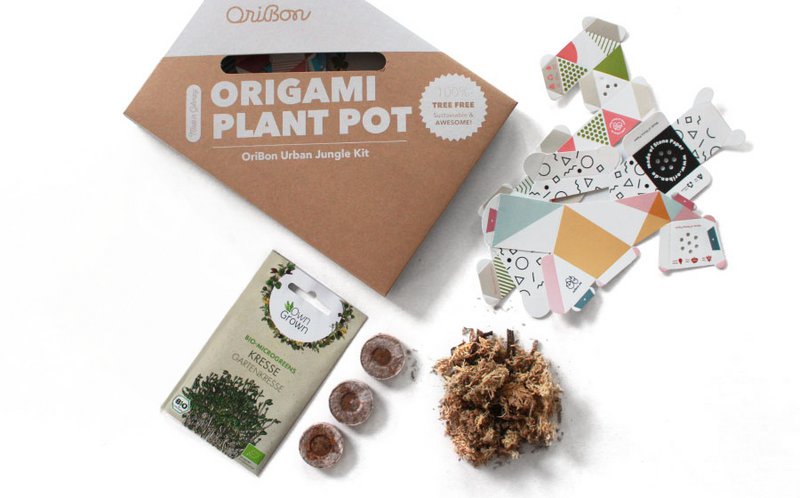 Kit Urban Jungle - Colección moderna con Microgreens