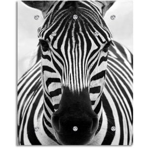 Kledingkast - Zebra