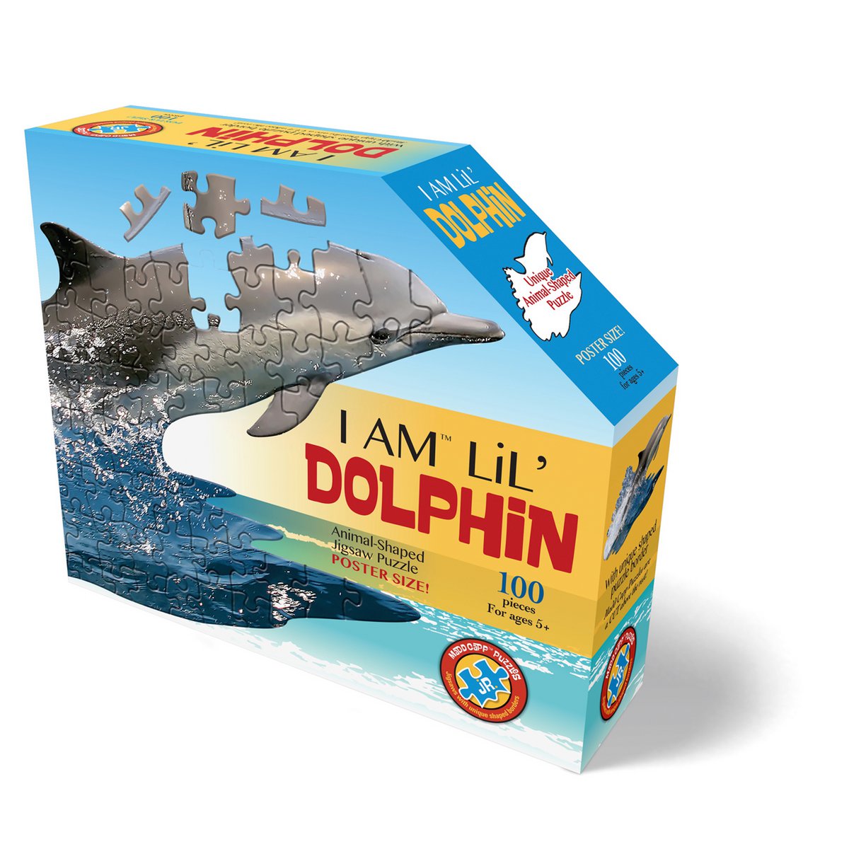 I Am Lil' - Dolfijn