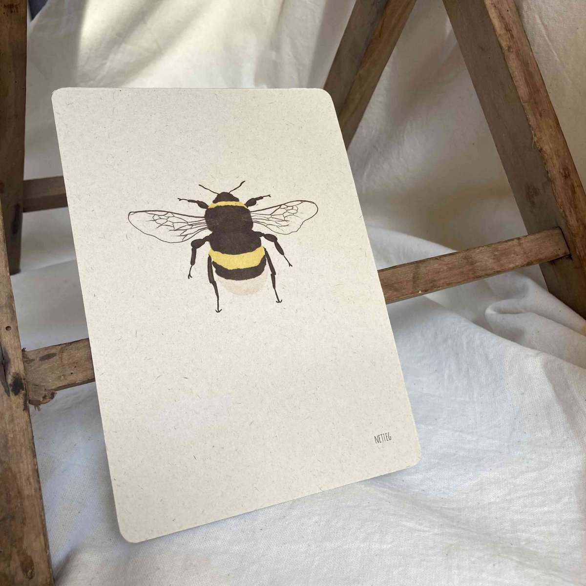 Kartenset Insekten