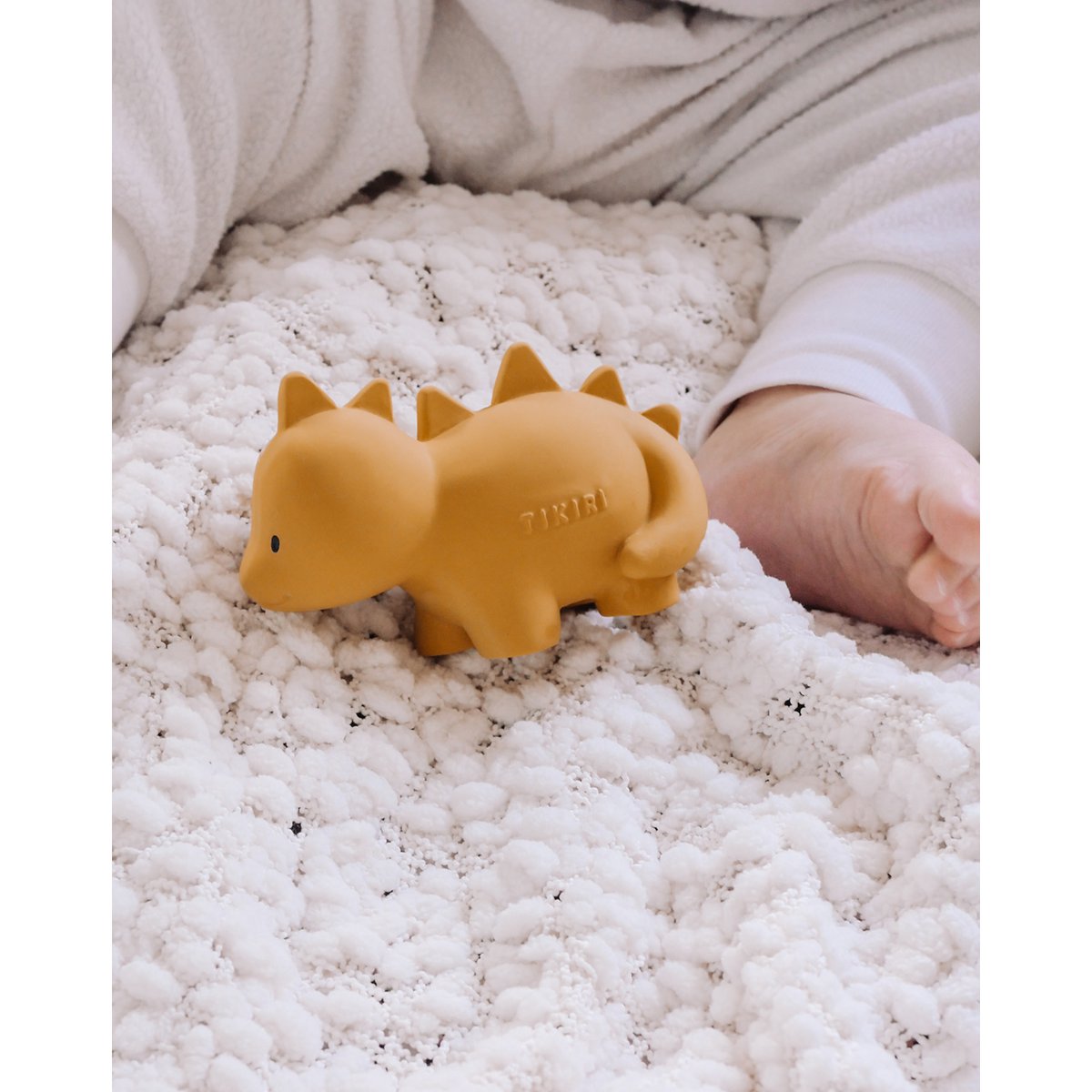 My First Dinosaur Stego