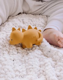 My First Dinosaur Stego
