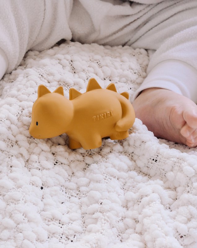 My First Dinosaur Stego