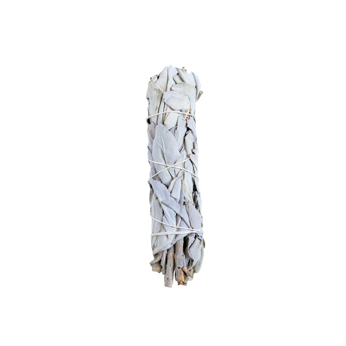 Ritual-Wisch-Kit
