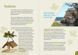 Baltic Sea for kids