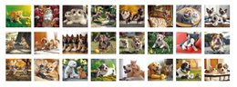 Torch Projector Light - Katte og Hunde
