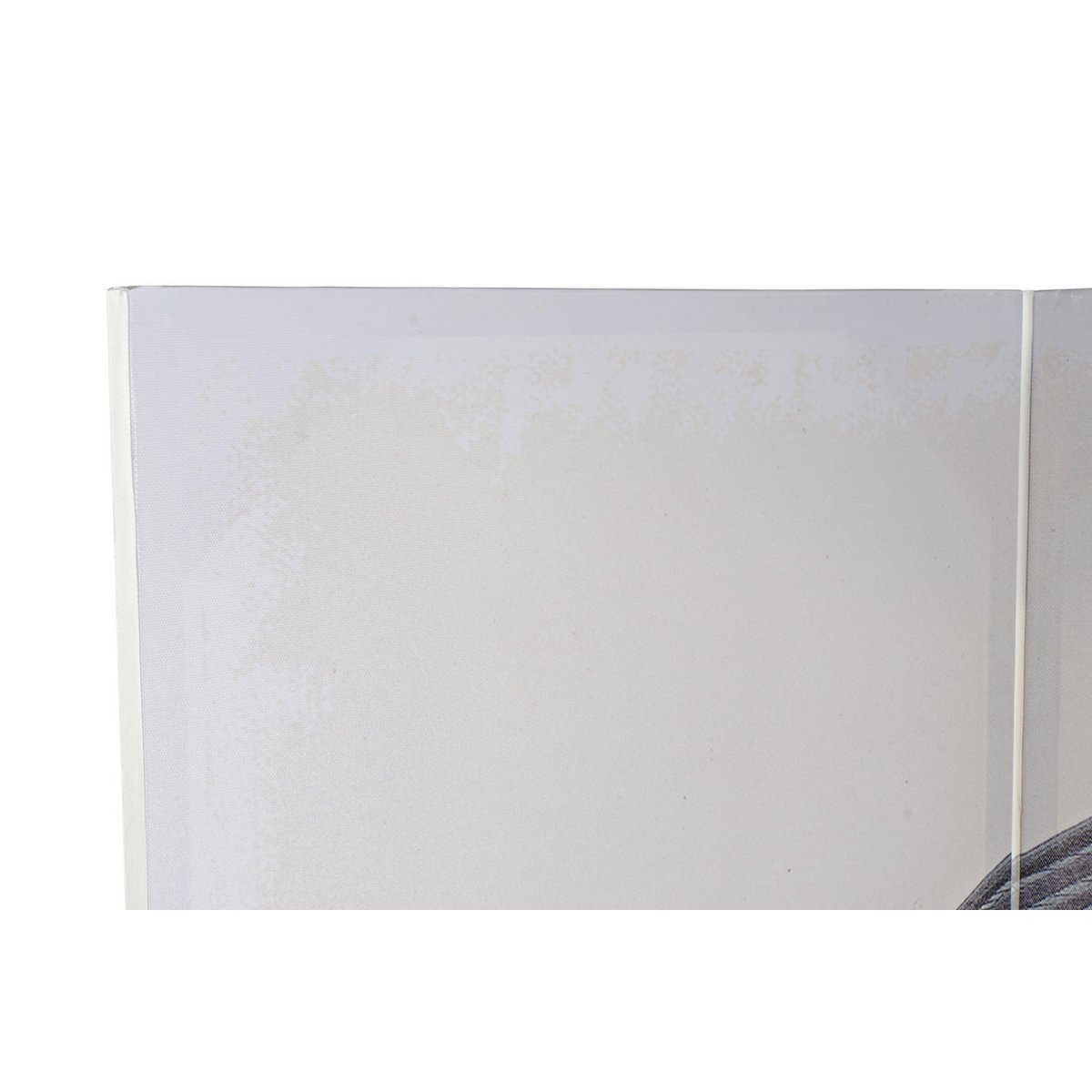 PARAVENT EN TOILE DE PIN 120X2,5X180 GARZA RÉVERSIBLE MB193787